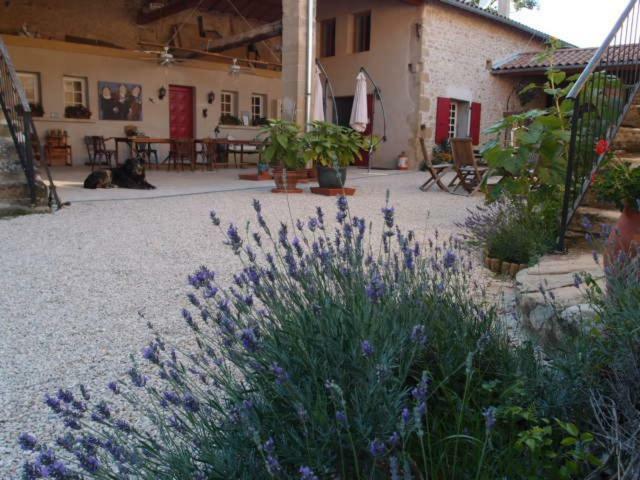 Ferme Robin Bed and Breakfast Marsaz Buitenkant foto